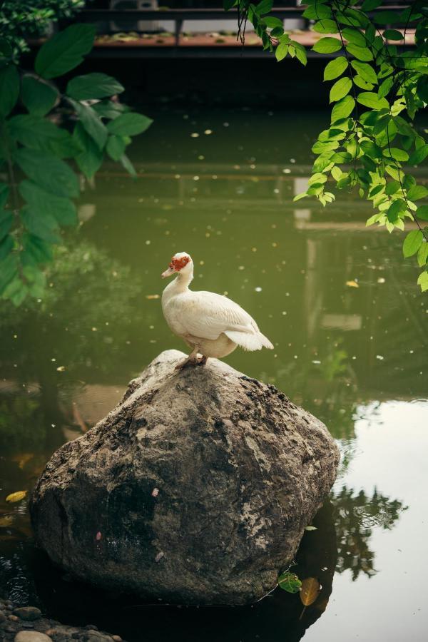 Chompor Lanna Hotel Chiang Mai Esterno foto