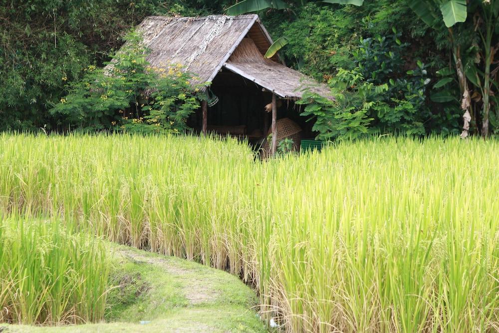 Chompor Lanna Hotel Chiang Mai Esterno foto